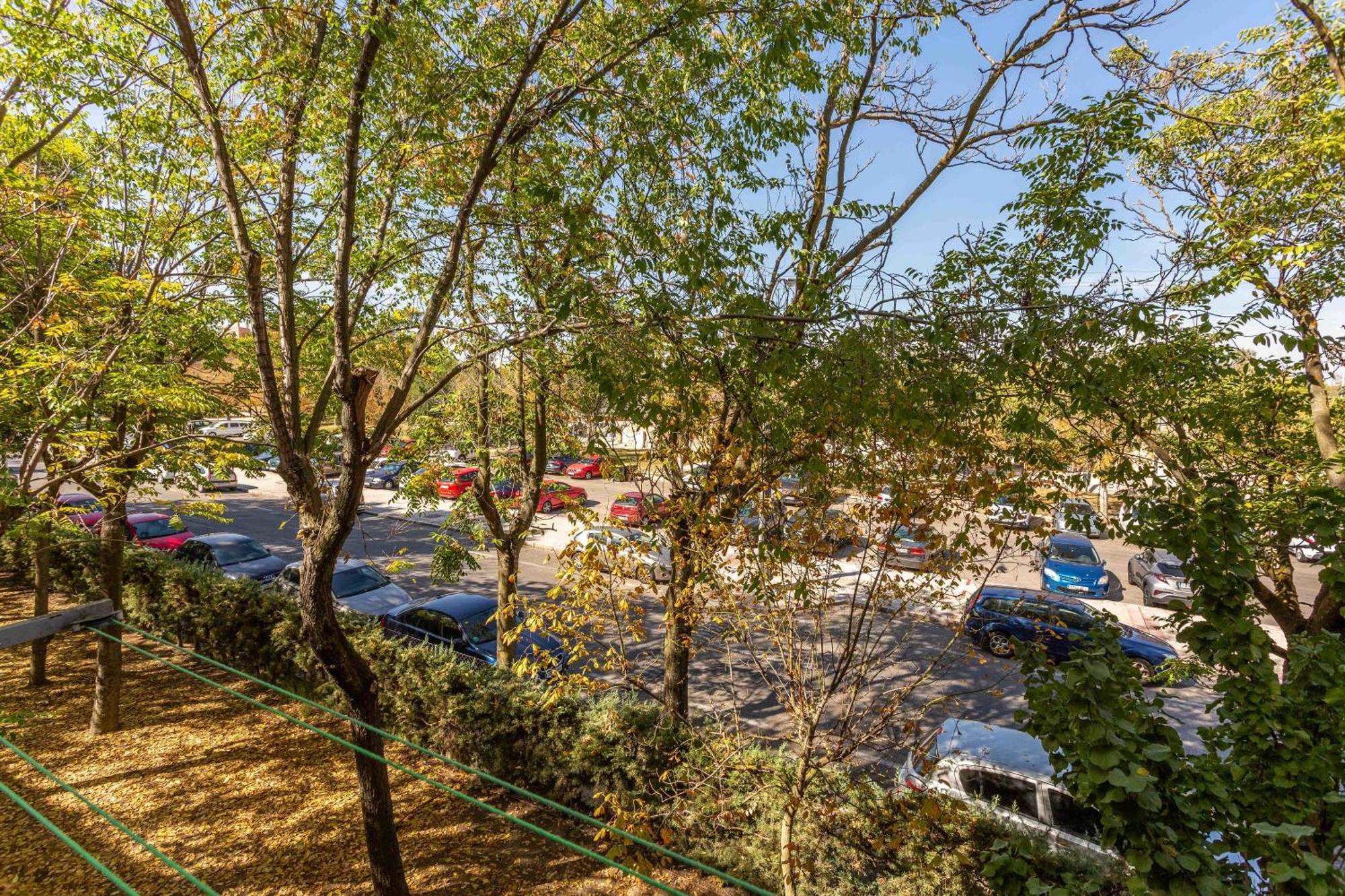 Apartamento 3 Habs Madrid Az10 Eksteriør billede